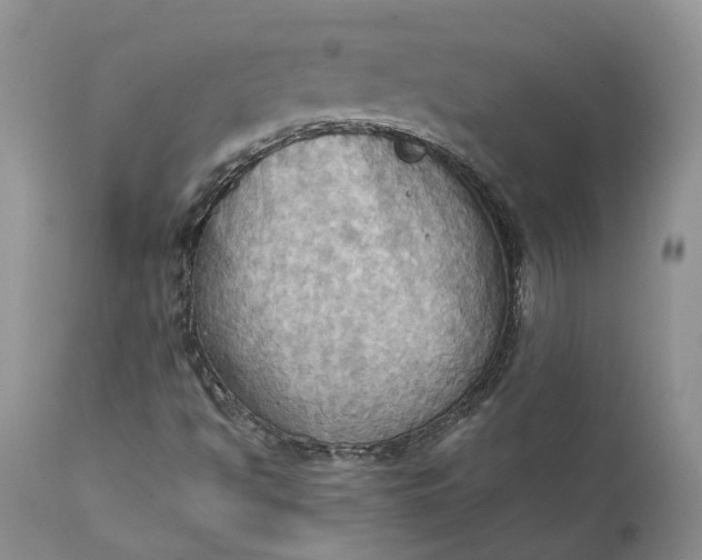 X0000111361494200907241210