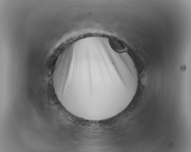 X0000111361495200907241210