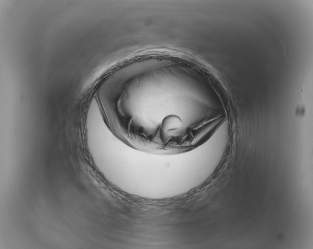 X0000111361496200907241210