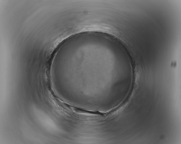 X0000111361497200907241210