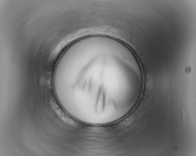 X0000111361499200907241210