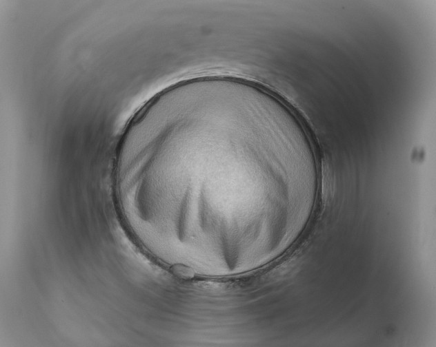 X0000111361500200907241210