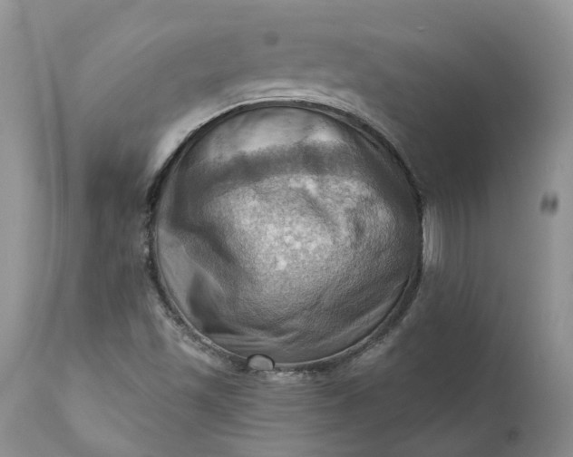 X0000111361501200907241210