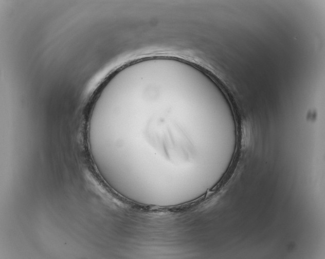 X0000111361502200907241210
