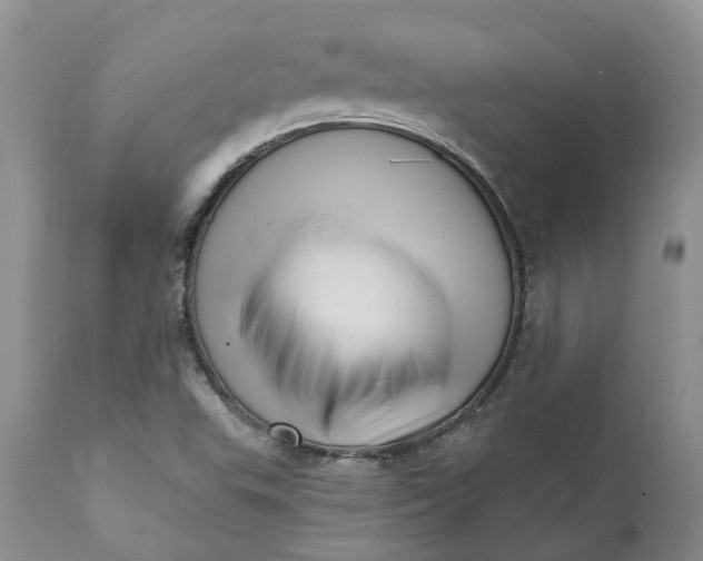X0000111361503200907241210