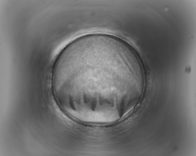 X0000111361504200907241210