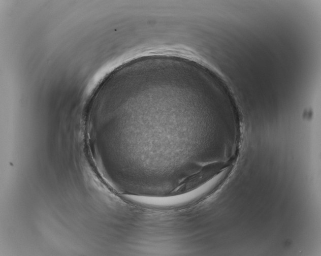 X0000111361506200907241210
