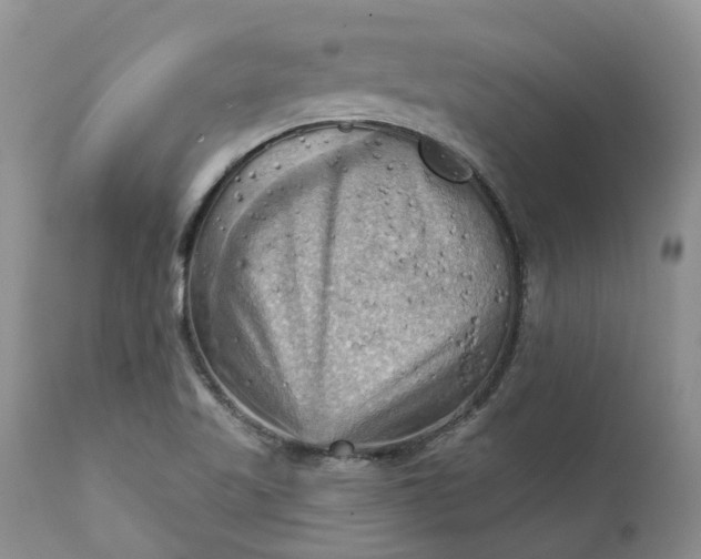 X0000111361509200907241210
