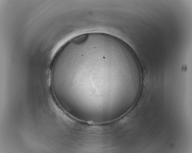 X0000111361510200907241210