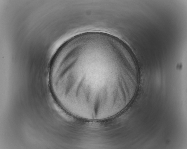 X0000111361511200907241210