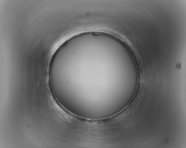 X0000111361512200907241210