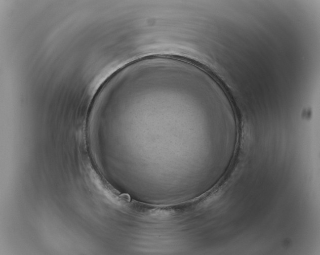 X0000111361513200907241210