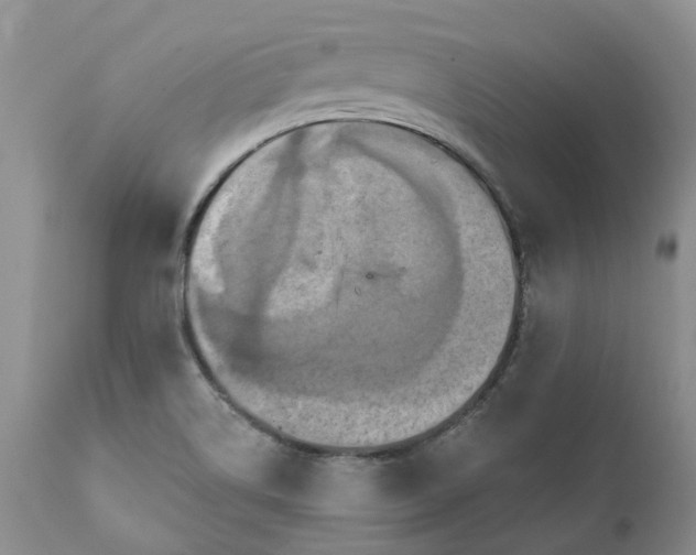 X0000111361514200907241210