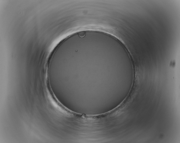 X0000111361515200907241210