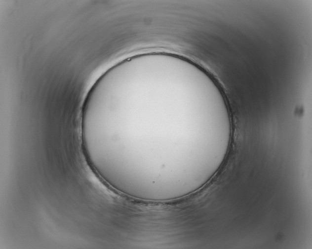 X0000111361516200907241210