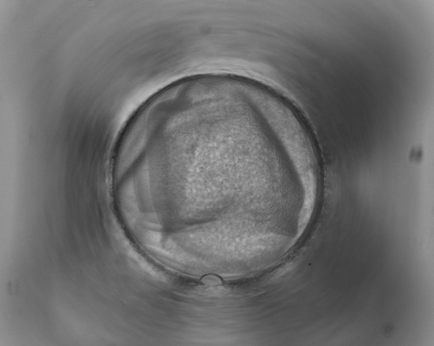 X0000111361517200907241210