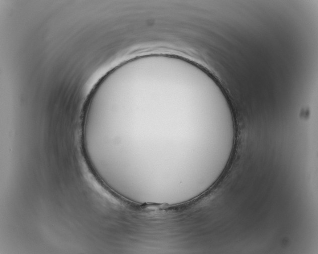 X0000111361518200907241210