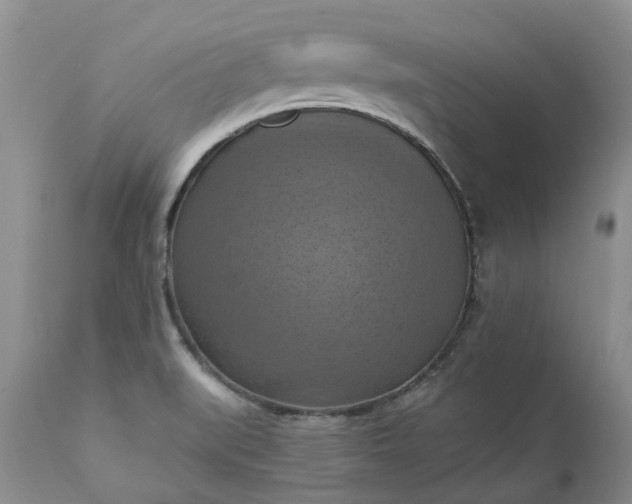 X0000111361519200907241210