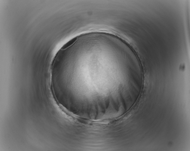 X0000111361520200907241210