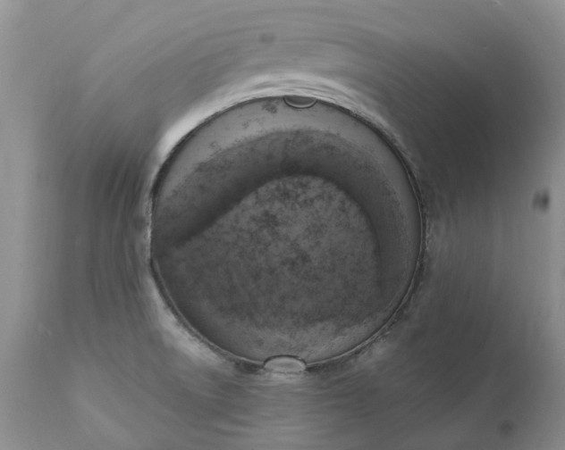 X0000111361522200907241210