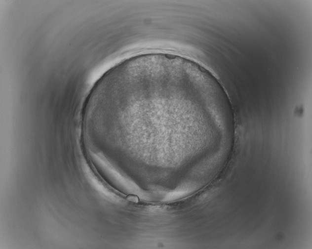 X0000111361523200907241210