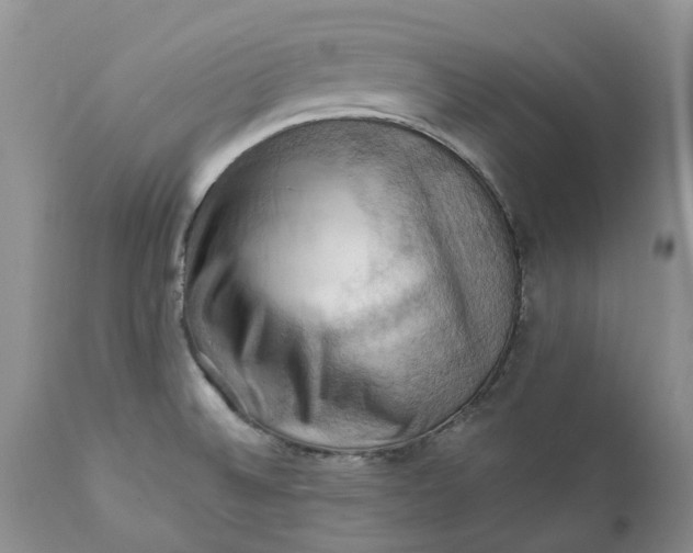 X0000111361524200907241210