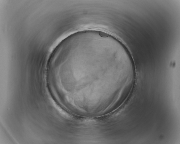 X0000111361525200907241210