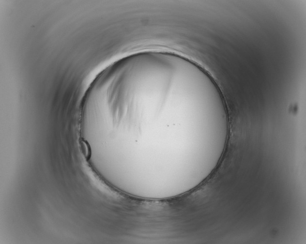 X0000111361526200907241210