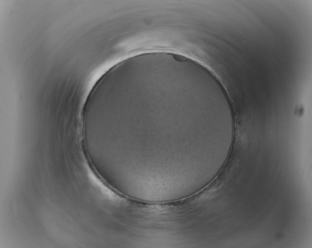 X0000111361527200907241210
