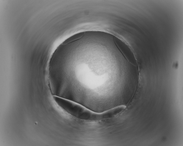 X0000111361528200907241210