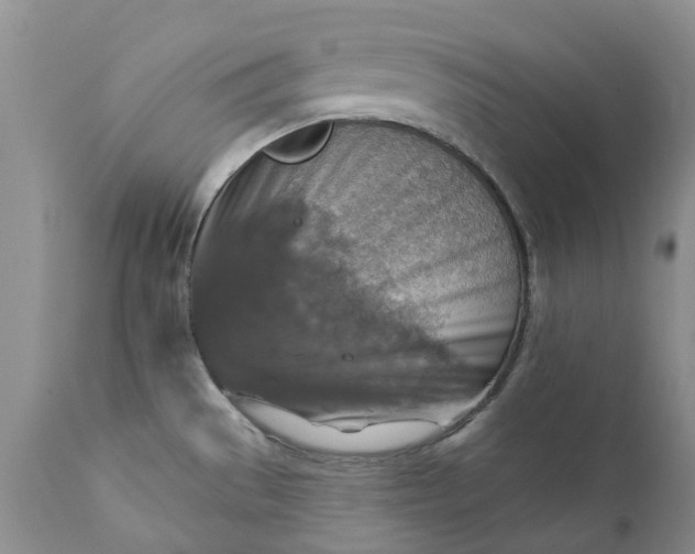 X0000111361529200907241210