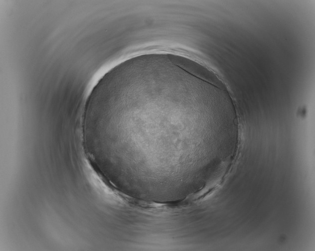 X0000111361530200907241210