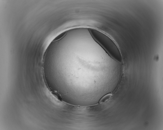 X0000111361532200907241210
