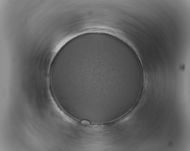 X0000111361533200907241210