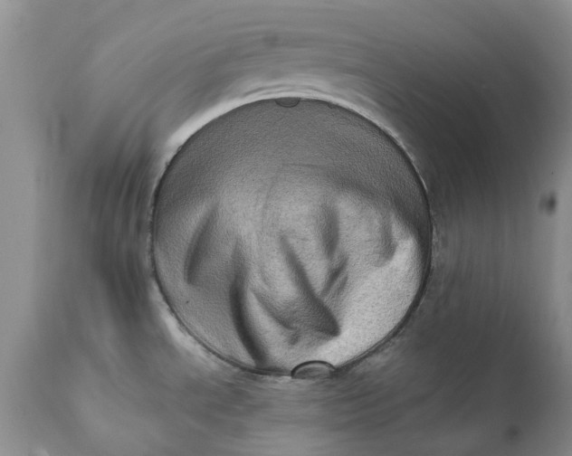X0000111361534200907241210