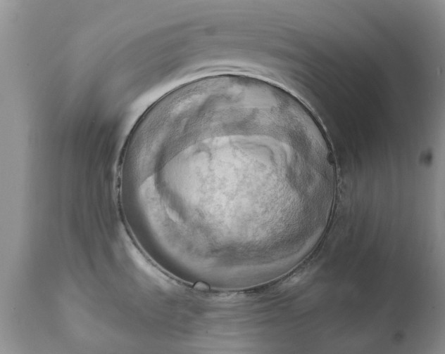 X0000111361535200907241210