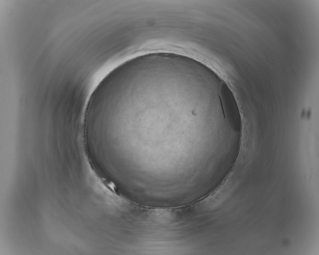 X0000111361536200907241210