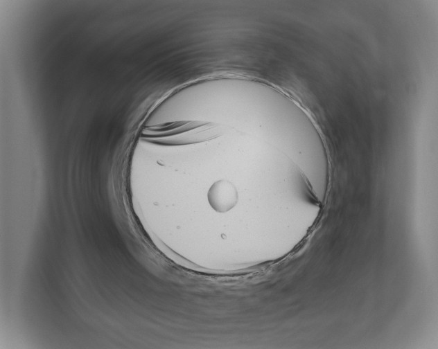 X0000111360001200907311022