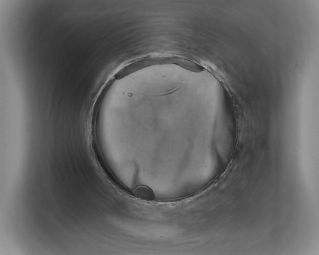 X0000111360002200907311022