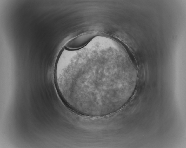 X0000111360003200907311022