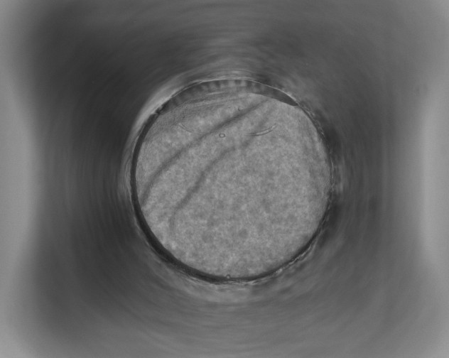 X0000111360004200907311022