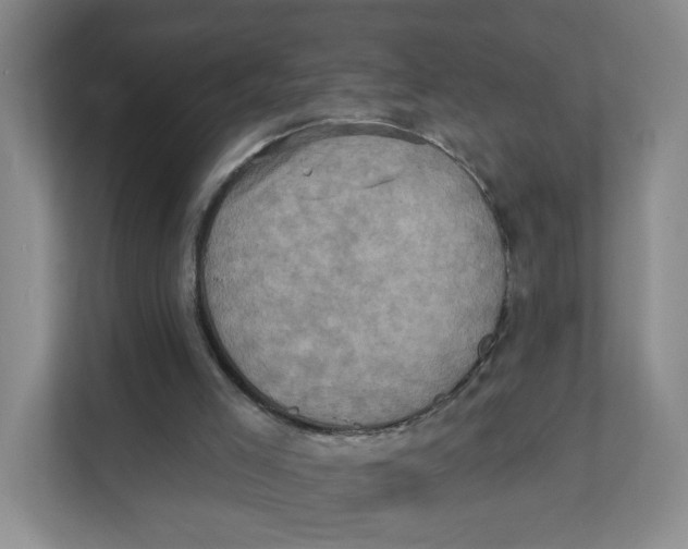 X0000111360005200907311022