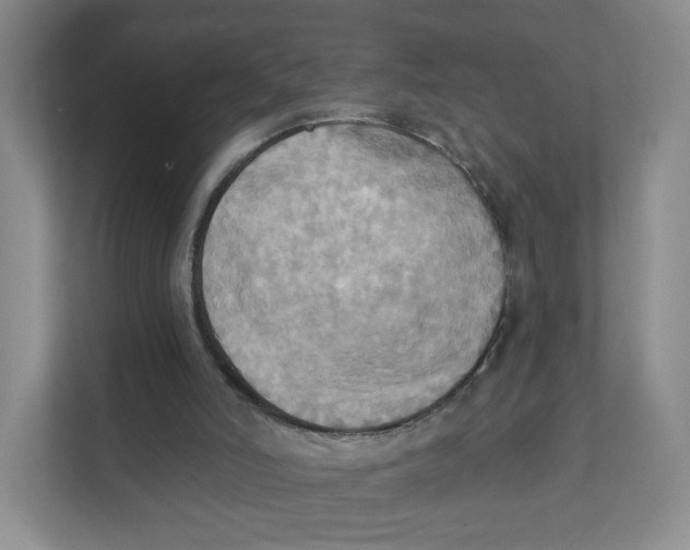 X0000111360006200907311022