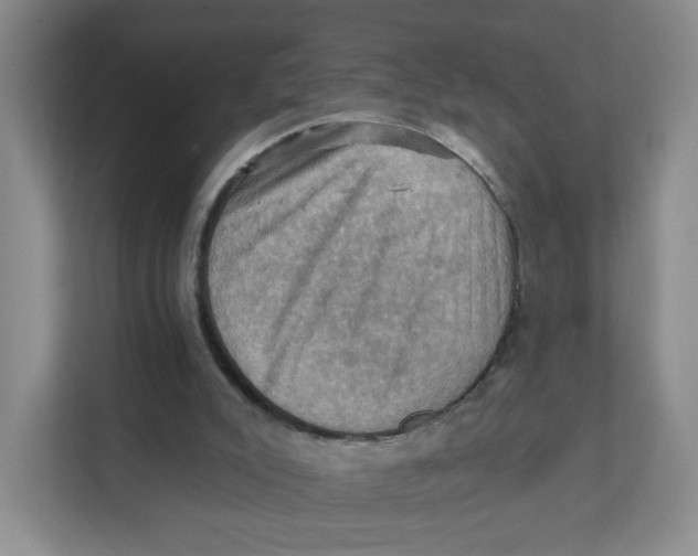 X0000111360007200907311022