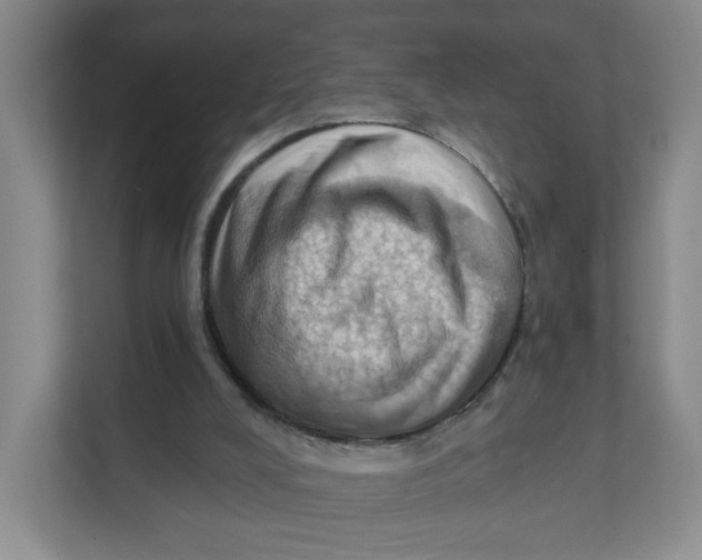 X0000111360008200907311022