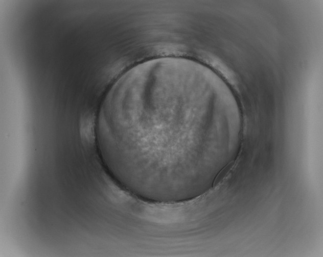 X0000111360009200907311022