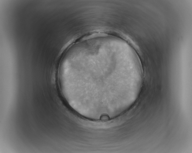 X0000111360010200907311022