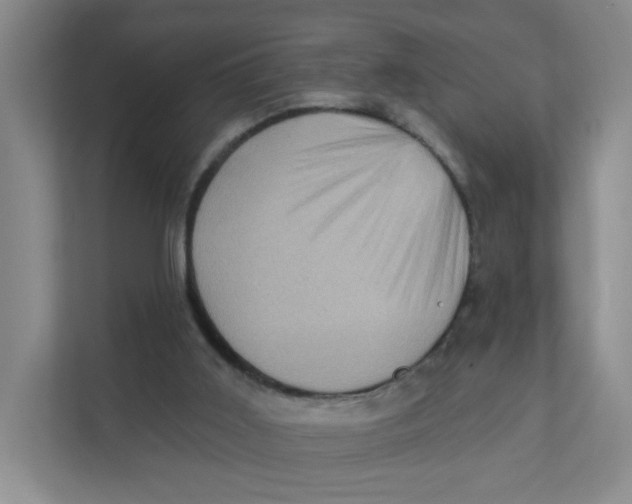 X0000111360011200907311022