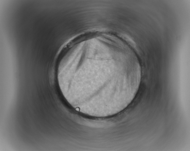 X0000111360012200907311022