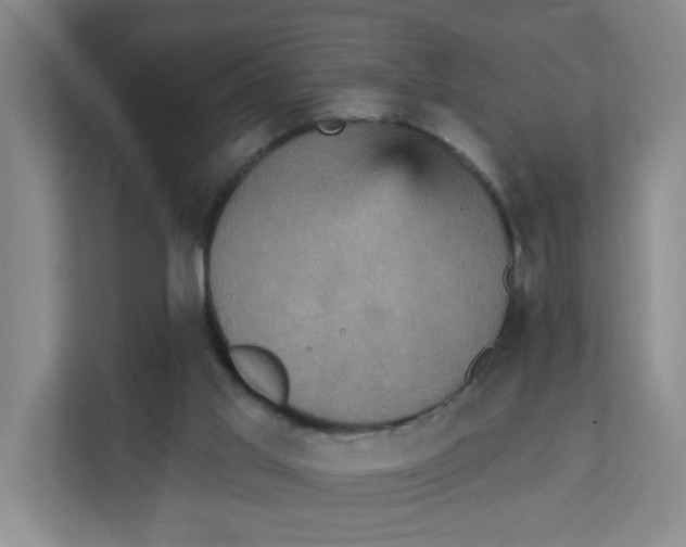 X0000111360013200907311022